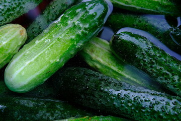 Soaking cucumbers in ice cold water for 4 to 5 hours before pickling gives nice crisp pickles. Home food hack.