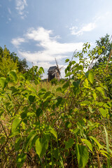 wiatrak © Agnieszka