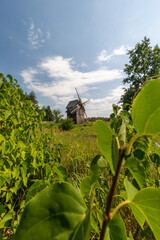 wiatrak © Agnieszka