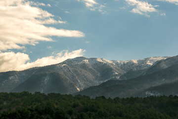 Landscape of Mount Ida with snow and some pine trees on the foreground.