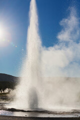 Geyser in Yellowstone