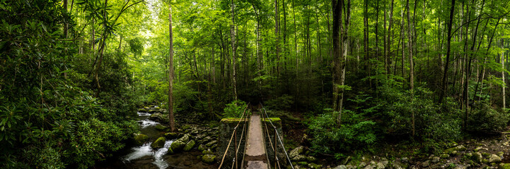 Panorama Of Narrow Bridge Crosing Thunderhead Prong In Great Smoky Mountains.
