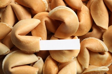 Fortune cookie with prediction on pile of biscuits, closeup