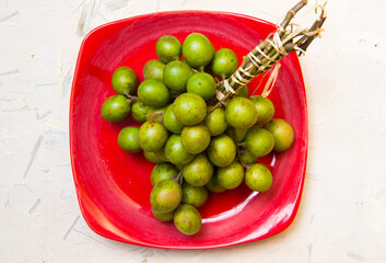 Mamón, mamoncillo or quenepa, is a fruit tree of the Sapindaceae family, naturalized in the intertropical zone of America.