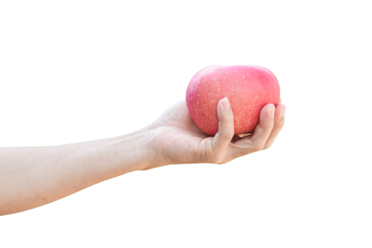 hand holding a red apple isolated on transparent background - PNG format.