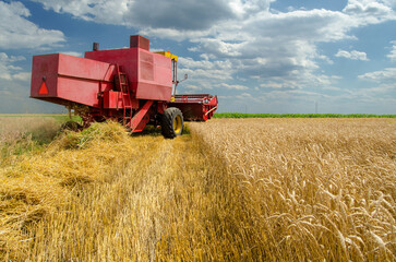 Combine harvester harvesting wheat in summer