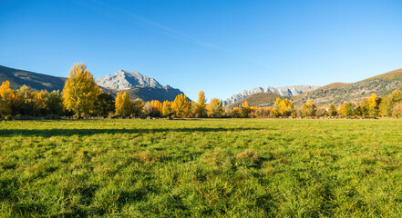 Autumnal landscape of green meadows groves and rocky mountains in the background. With small town...