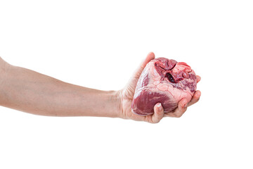 Human heart in hand isolated on transparent background - PNG format.