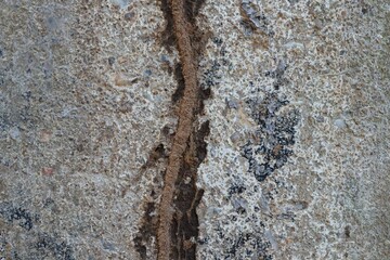 stone wall texture