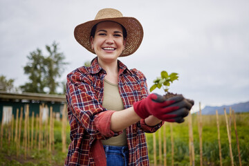 Farm, growth and sustainability with a woman farmer holding a plant, soil or green leaf in the...