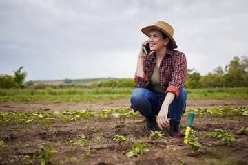 Agriculture farmer talking or networking on phone, happy with success or small business growth on a...