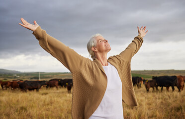Happiness, freedom and mature woman looking free in nature with cows and grey sky background....