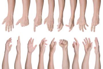 Fotobehang Set of Man hand gestures isolated on transparent background - PNG format. © banphote