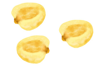 ジャイアントコーン