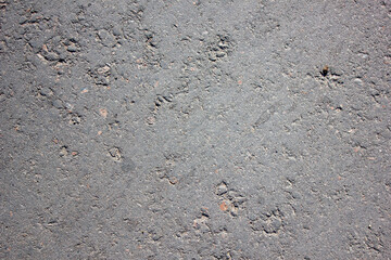 Authentic asphalt texture. Roadbed, pavement, asphalt background.