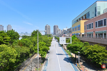 お台場海浜公園前の通り