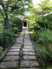 Obraz premium Path in the Garden