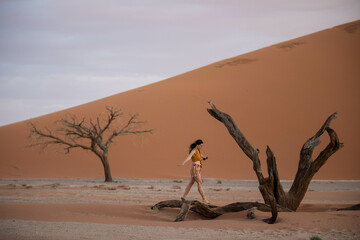 female travelr walking through the desert in namibia - obrazy, fototapety, plakaty