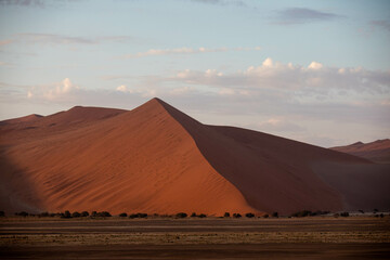 Fototapeta na wymiar dramatic sunlight hitting desert dune in namibia