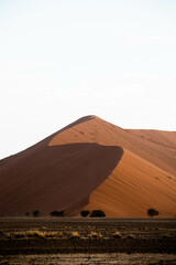 Fototapeta na wymiar sunset with dramatic light on sand dunes in the desert of namibia