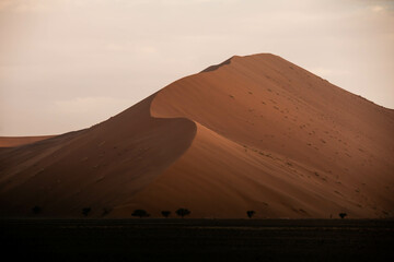 Fototapeta na wymiar sunset with dramatic light on sand dunes in the desert of namibia