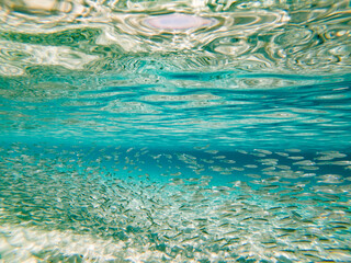 Fototapeta na wymiar Wide view of underwater at the island