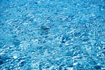 Sea water is water from a sea or ocean