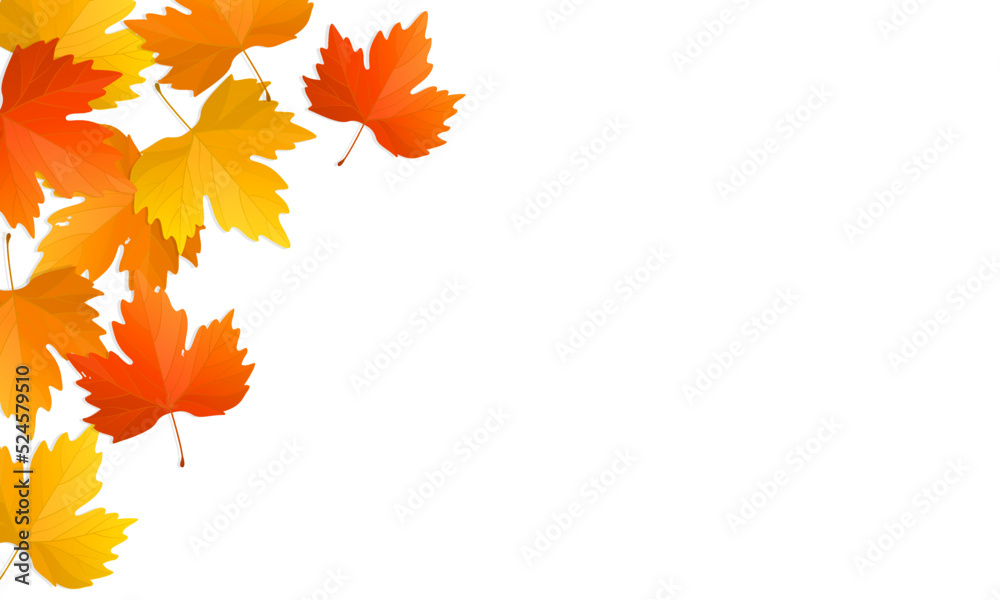 Wall mural autumn leaves background with copy space. vector illustration of colorful maple fallen leaves.
