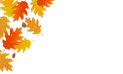 Autumn leaves background with copy space. Vector illustration of colorful oak fallen leaves.
