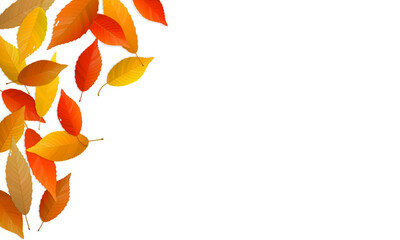 Autumn leaves background with copy space. Vector illustration of colorful fallen leaves. - obrazy, fototapety, plakaty