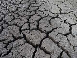 Deep Clefts in Parched, Dried Lake Bed