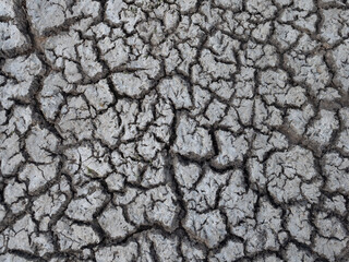 Dry, Cracked Earth Photographed From Above