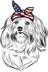 Havanese Dog vector eps , Dog in Bandana, sunglasses, Fourth , 4th July vector eps, Patriotic, USA Dog, Cricut Silhouette Cut File
