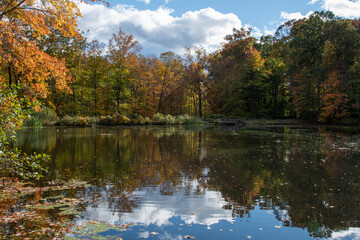 autumn in the park