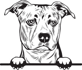 American Staffordshire Terrier Peek A Boo | Peekaboo | Peeking Dog Face vector eps