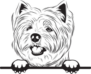 West Highland White Terrier Peek A Boo | Peekaboo | Peeking Dog Face vector eps