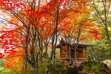 山のお堂の紅葉