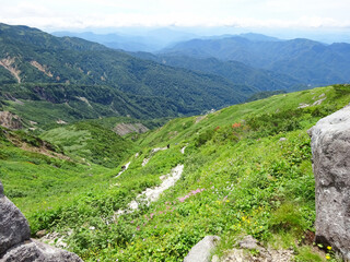 山　風景　登山道