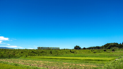 夏の高原列車