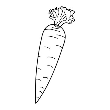 How to draw a Carrot || carrot drawing easy step by step - YouTube