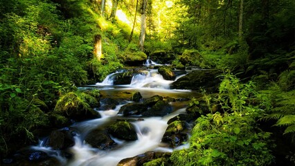 waterfall in the forest