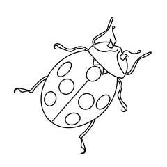 hand drawn ladybug linear. Illustrator of doodle ladybug on a white background. animal silhouette can be used for coloring, etc.