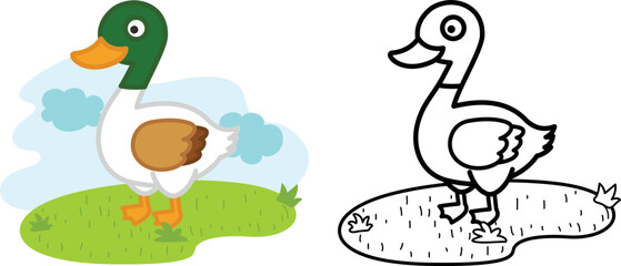Illustration of educational coloring book animal duck vector