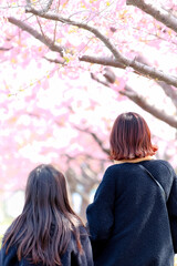 春のイメージ｜桜ポートレート（二人）