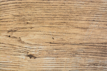 Texture of wood use as design background