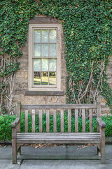 The bench near the house wall which is covered with ivy