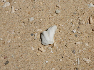 砂浜　sandy beach