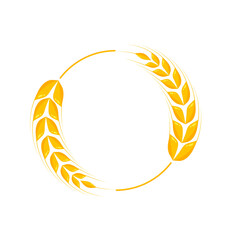 Ears of wheat. Whole grains for making bread.