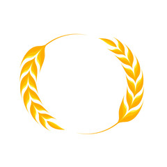 Ears of wheat. Whole grains for making bread.