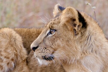 Kenya